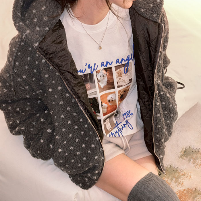 ��ǰ�̹���