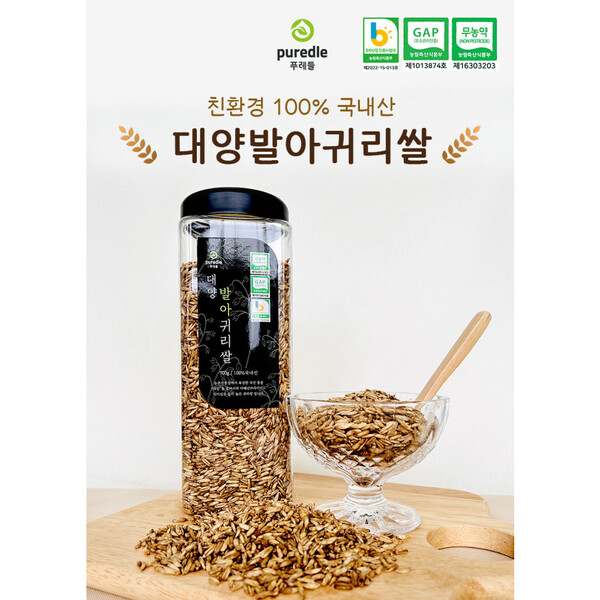 베스트 아이템 이미지