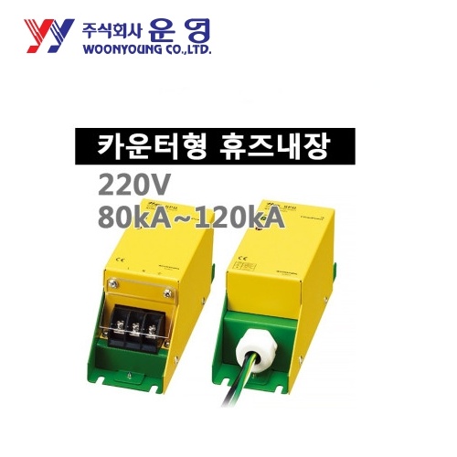 운영 WYPB2100T220C 터미널 SPD 고급형 단상접지형 2W+G 카운터 휴즈내장 100kA AC220V 서지보호기
