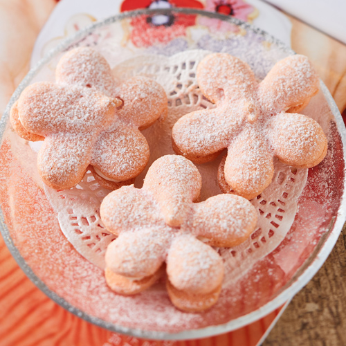 ์ํ ์ฌ๋ค์ผ ์ํ ์ฌ๋ค์ผ