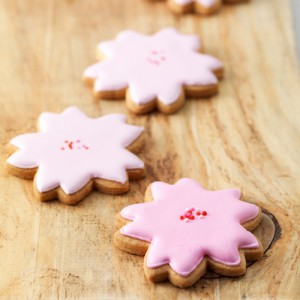 ์ํ ์ฌ๋ค์ผ ์ํ ์ฌ๋ค์ผ