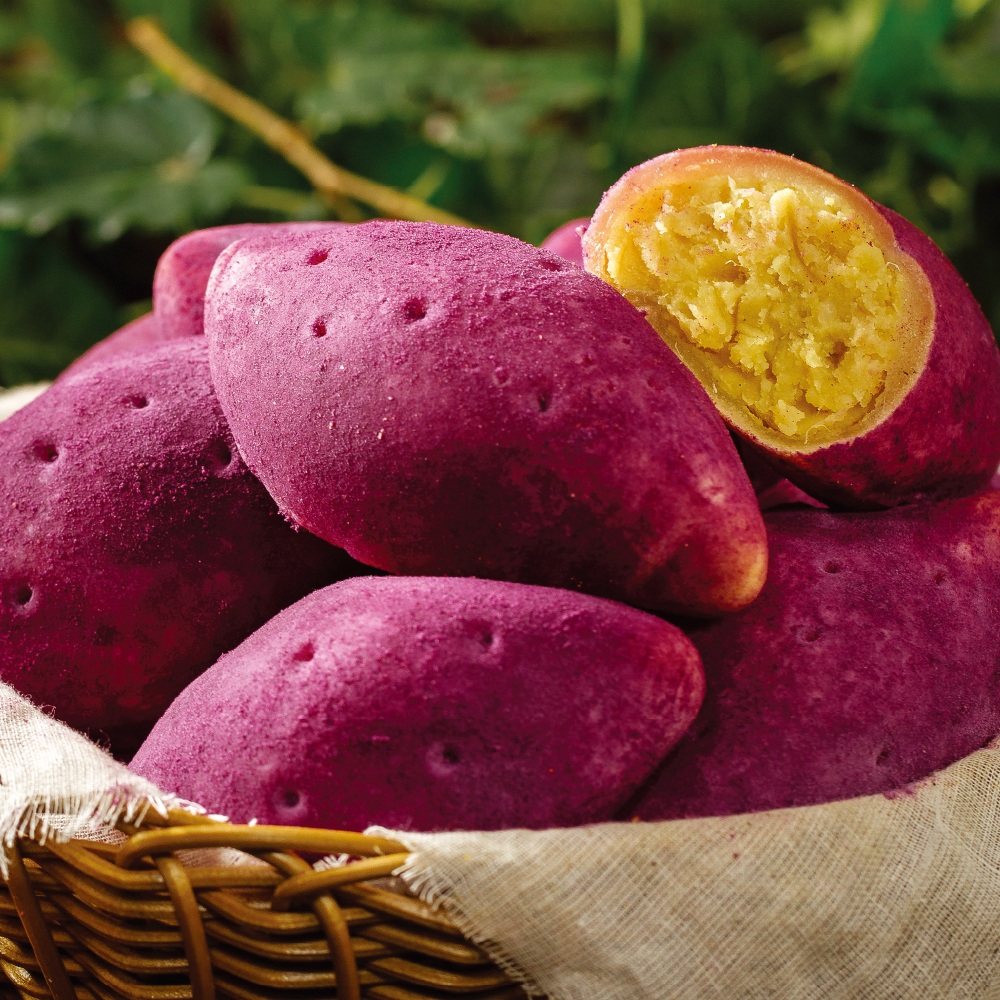 ์ํ ์ฌ๋ค์ผ ์ํ ์ฌ๋ค์ผ