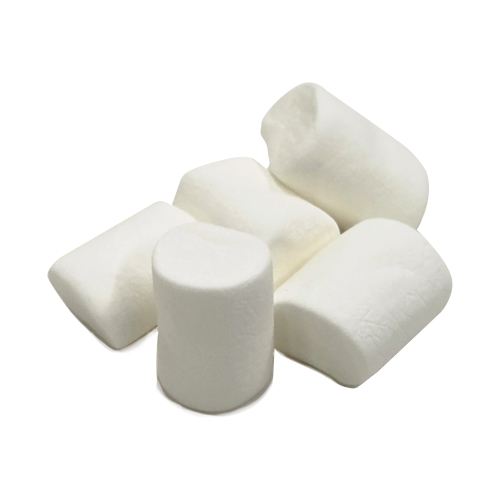 ์ํ ์ฌ๋ค์ผ ์ํ ์ฌ๋ค์ผ