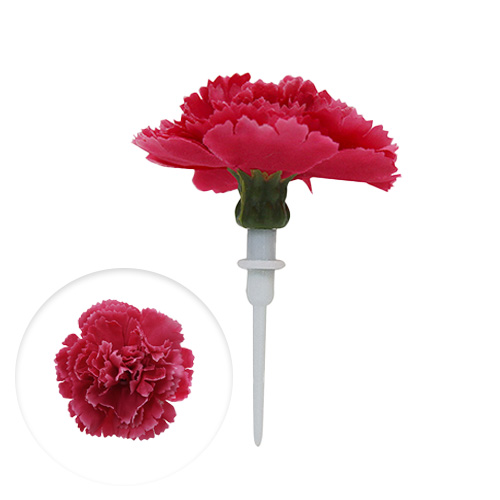 ์ํ ์ฌ๋ค์ผ ์ํ ์ฌ๋ค์ผ