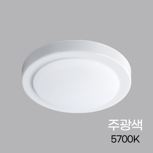 LED 그린티 원형 직부등 고효율 20W 유백커버 주광색 KS 400183
