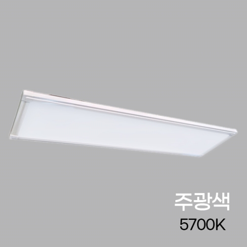 디에프 LED 평판 엣지 비상 1198x298 40W T바 KS 배터리타입 I407576