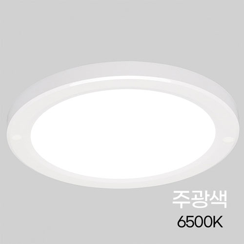 비츠온 LED 원형 직부등 엣지 254mm(10인치) 20W 주광색 I438543