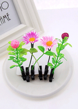 ��ǰ�̹���